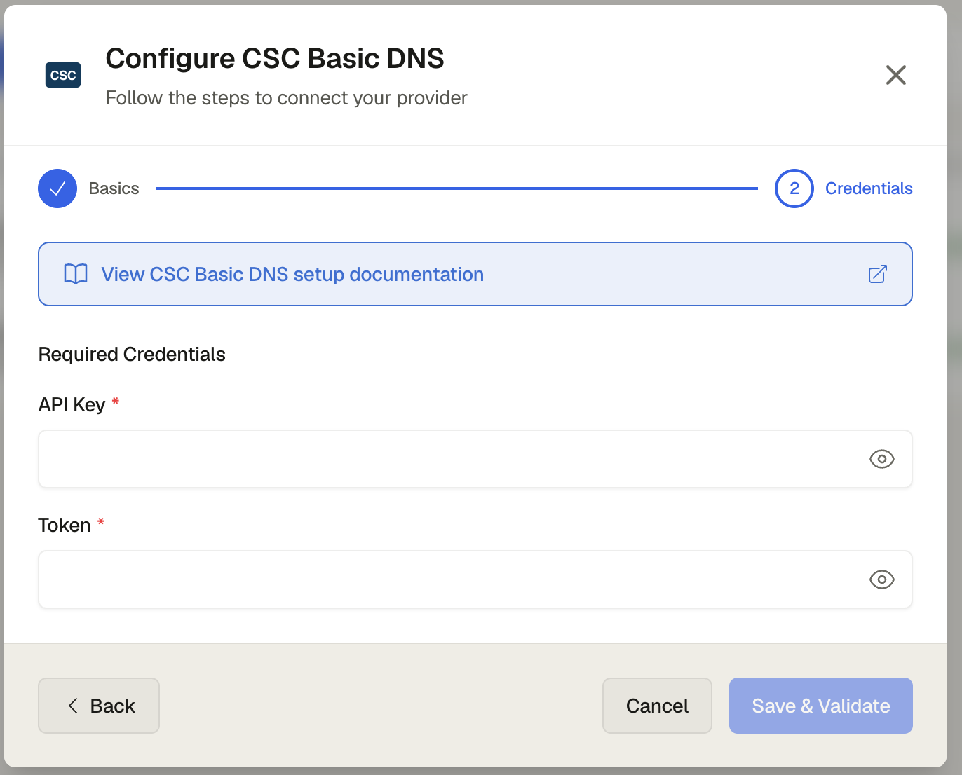 The CSC credentials form showing API Key and API Secret input fields