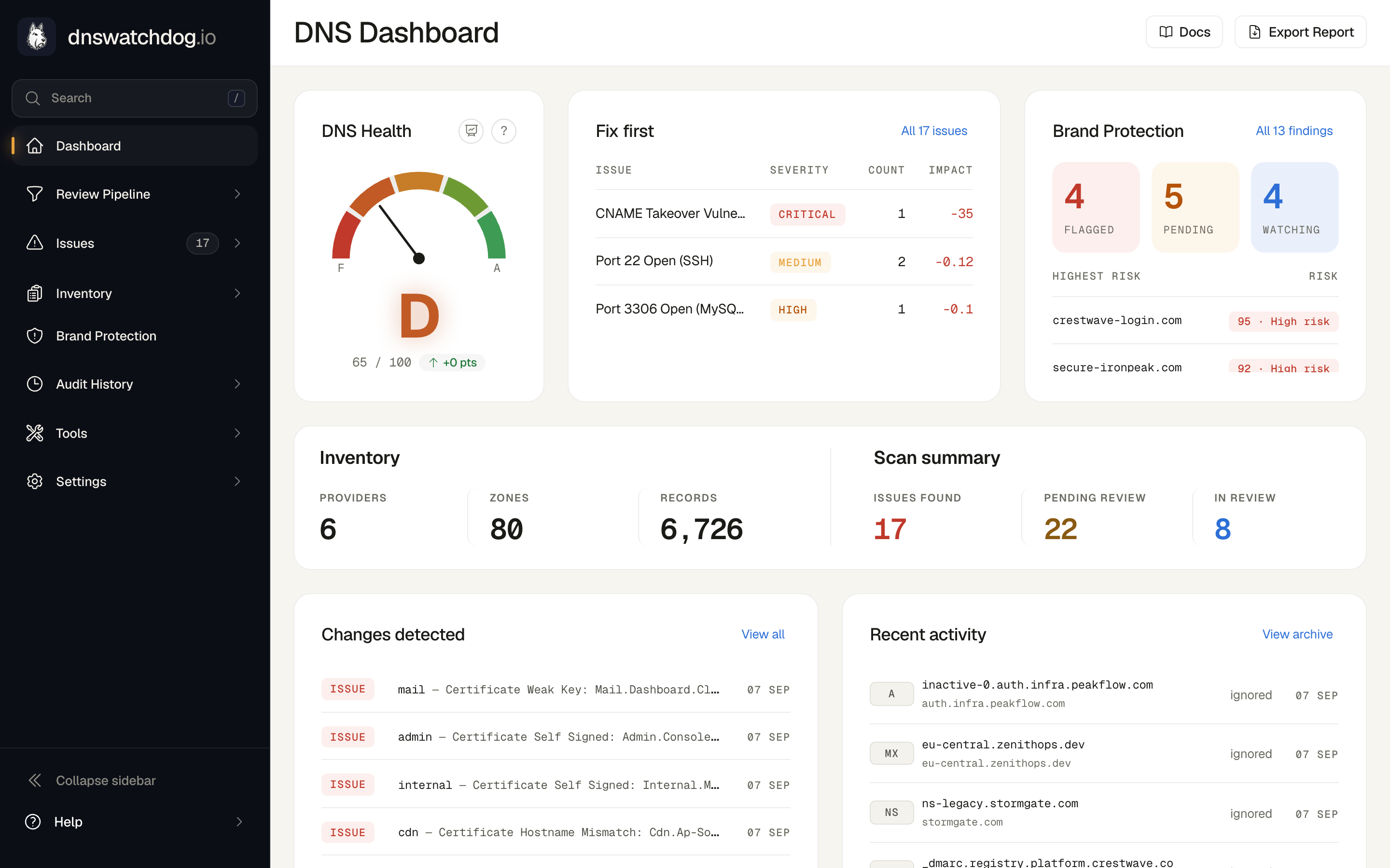 The DNS Watchdog dashboard showing provider count, zone count, record count, and issue severity breakdown