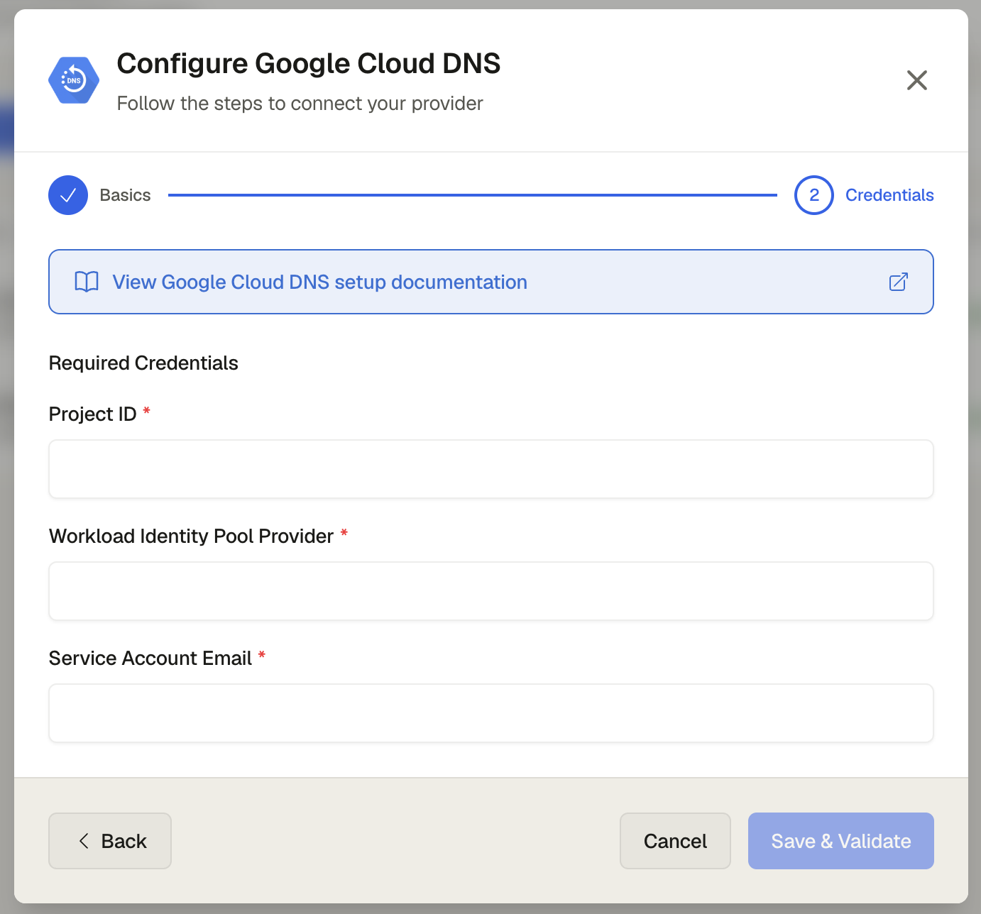 The Google Cloud DNS credentials form showing the Service Account JSON text area