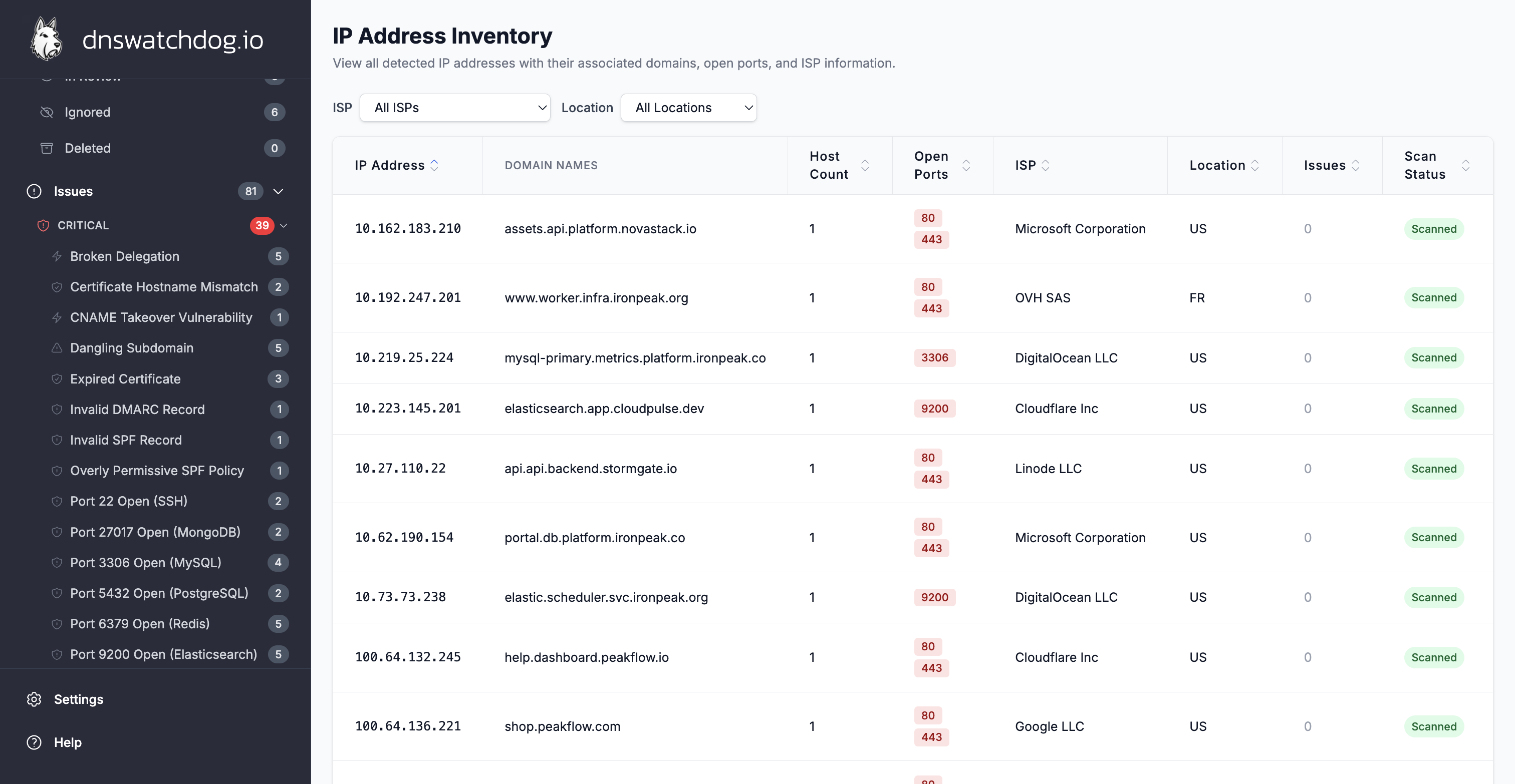 The IP Addresses page showing resolved IPs with associated record counts and geolocation data