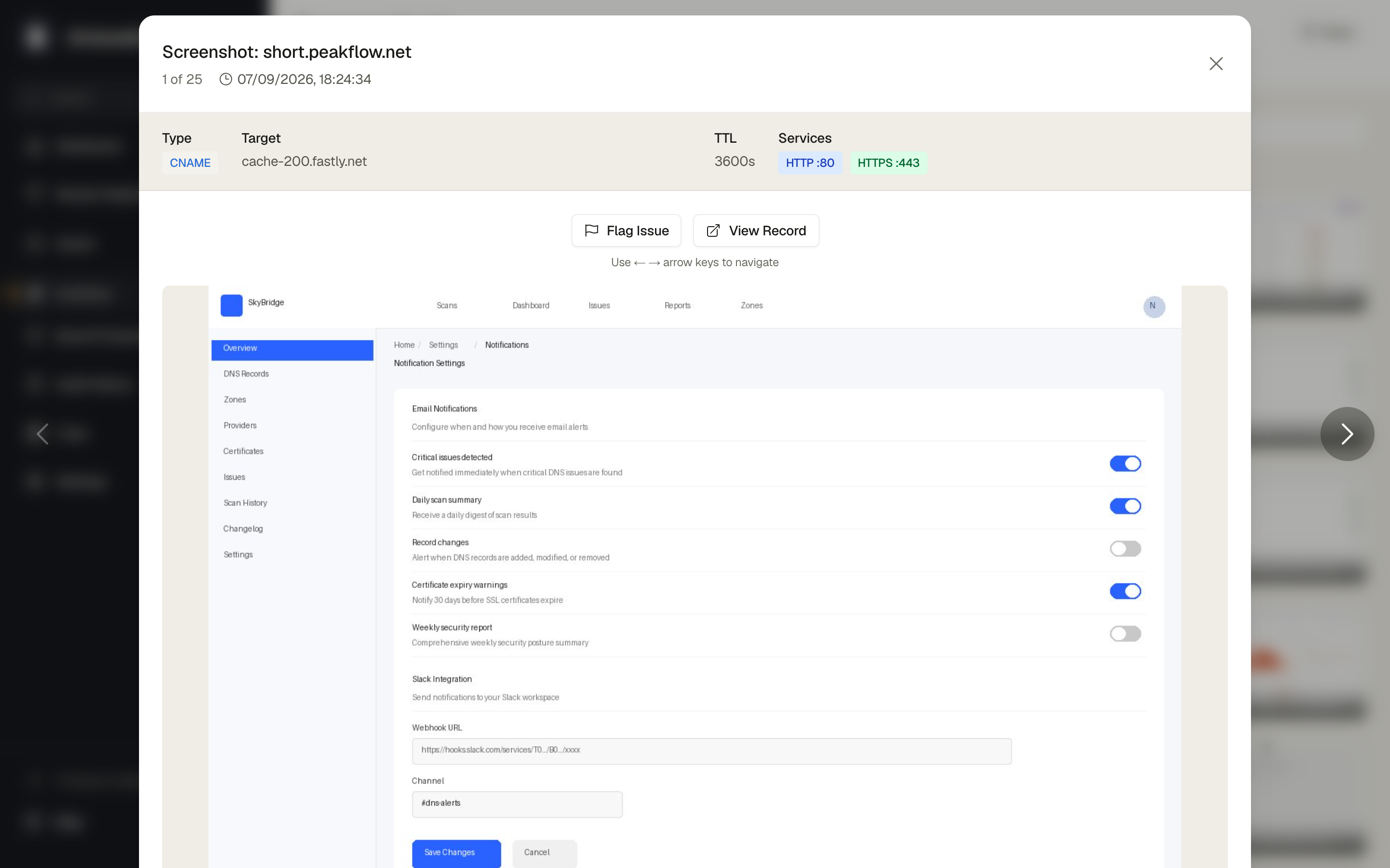 A screenshot detail view showing the full captured image and associated DNS record